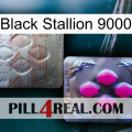 Black Stallion 9000 38